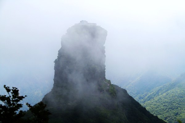 天天有人去山上采蘑菇,每天来观看的游客上万人