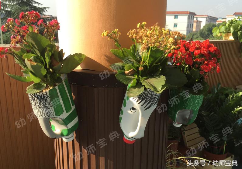 自然角创设分布图,自然角布置幼儿园