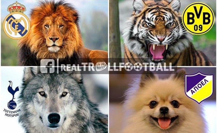 各种脑洞大开的评论,盘点网友们脑洞大开的精彩评论