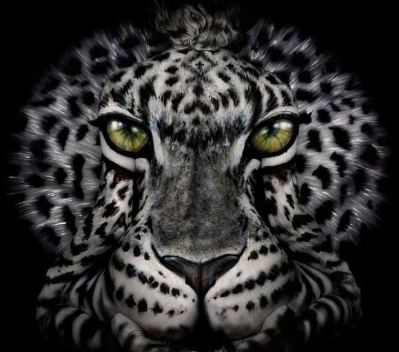 这才是艺术视觉效果,这才是真正的艺术美