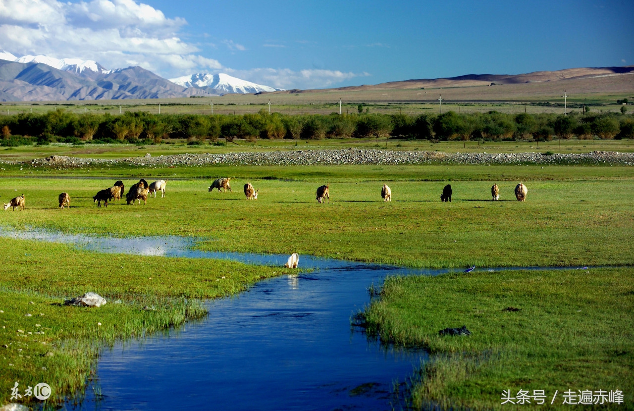 七夕来了，给你介绍一下往们赤峰男人
