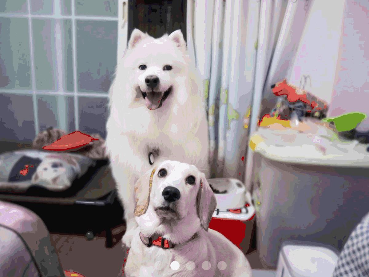 Todayis七夕,这盆狗粮爱妖经替你验过,放心吃吧