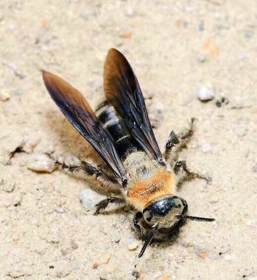 世界因你而美好原唱,世界因你而美好