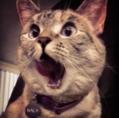 最经典的个人外号称呼搞笑,联系人通讯录好友有趣称呼