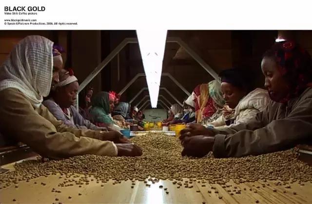 十部必看咖啡电影,适合咖啡控看的电影