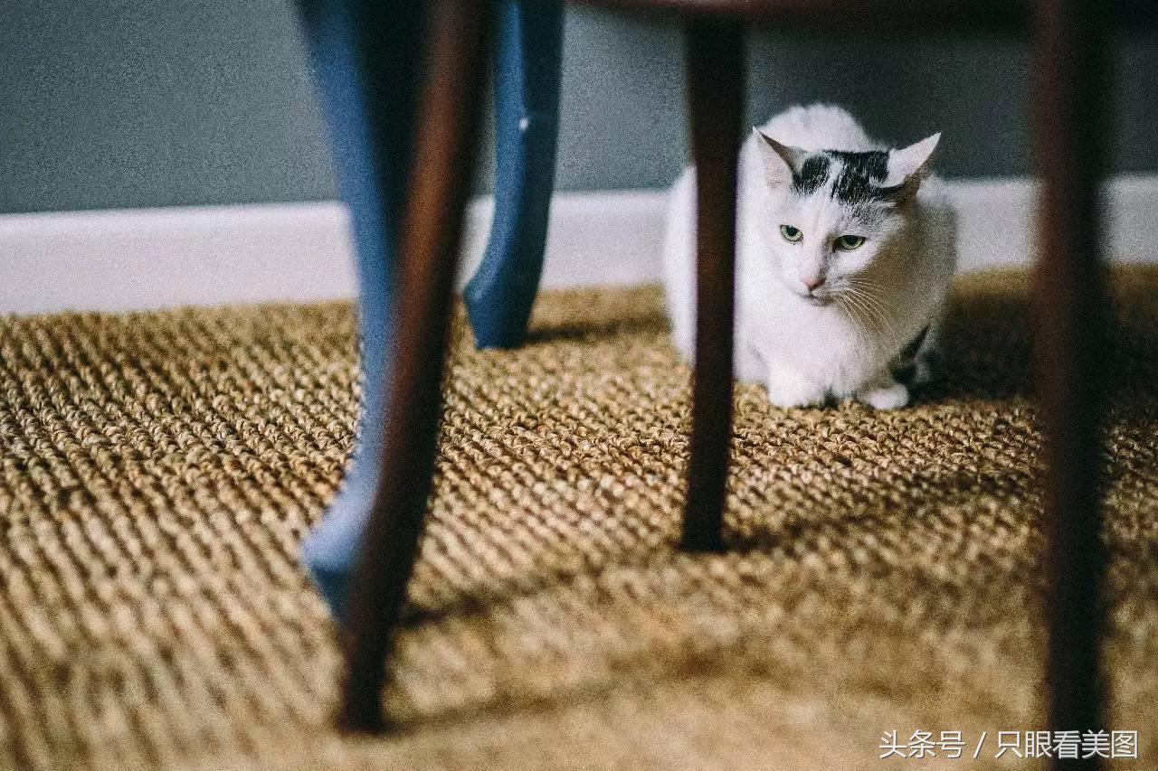 装修防火材料选用一般原则是什么,19种装修材料的正确选择方法