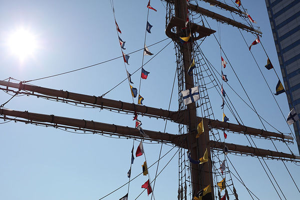 画质最好的第一视角相机,蔡司milvus1002评测