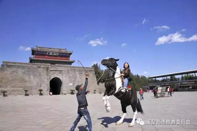 七夕如何秀恩爱搞笑,七夕秀恩爱高级