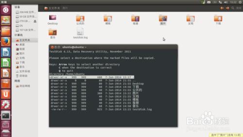 U盘失误格式化咋办？Ubuntu免费数据恢复Testdisk