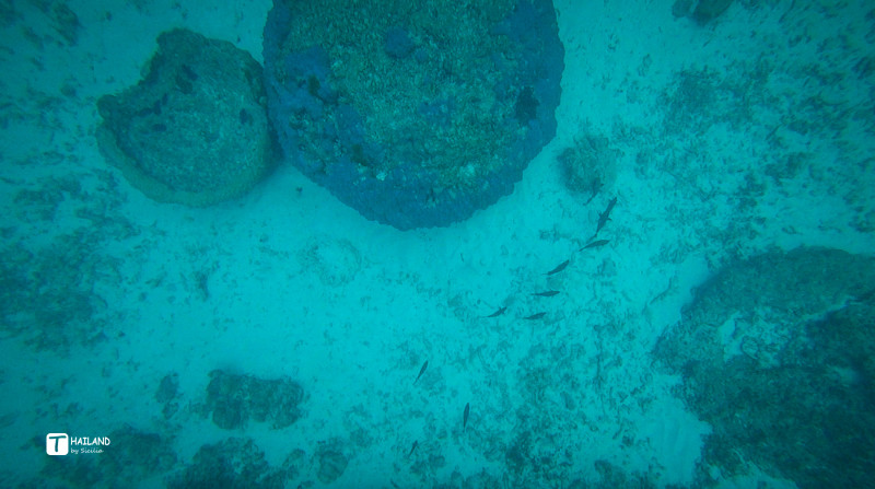 带你一起去泰国看海,回忆那年在泰国踏浪看海