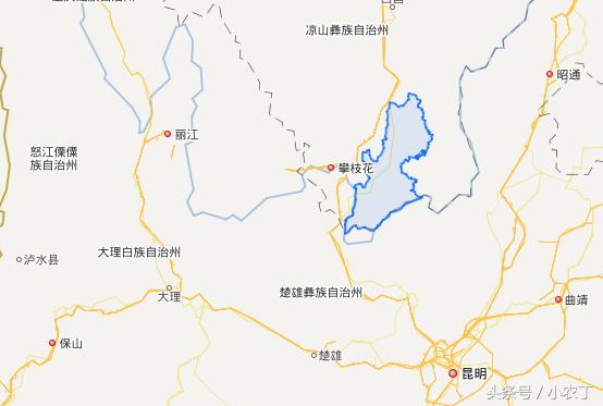 正宗突尼斯软籽石榴10斤新鲜当季,送礼必备佳品突尼斯软籽石榴