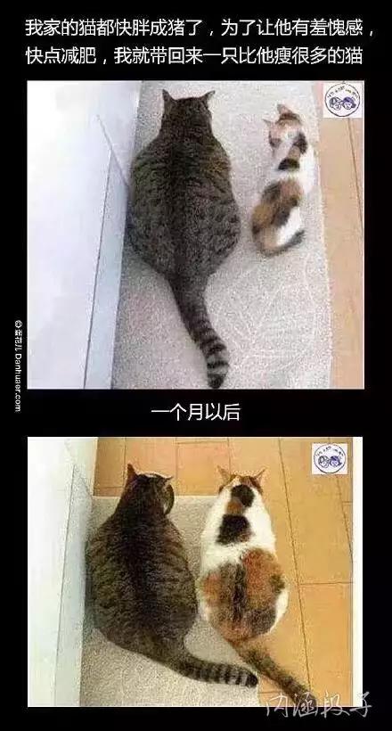 电脑还剩60g够了吗,电脑空间都去哪了