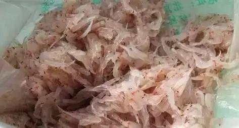 羊口开海！倒计时一天！第一网吃起来！看完哈喇子流一地