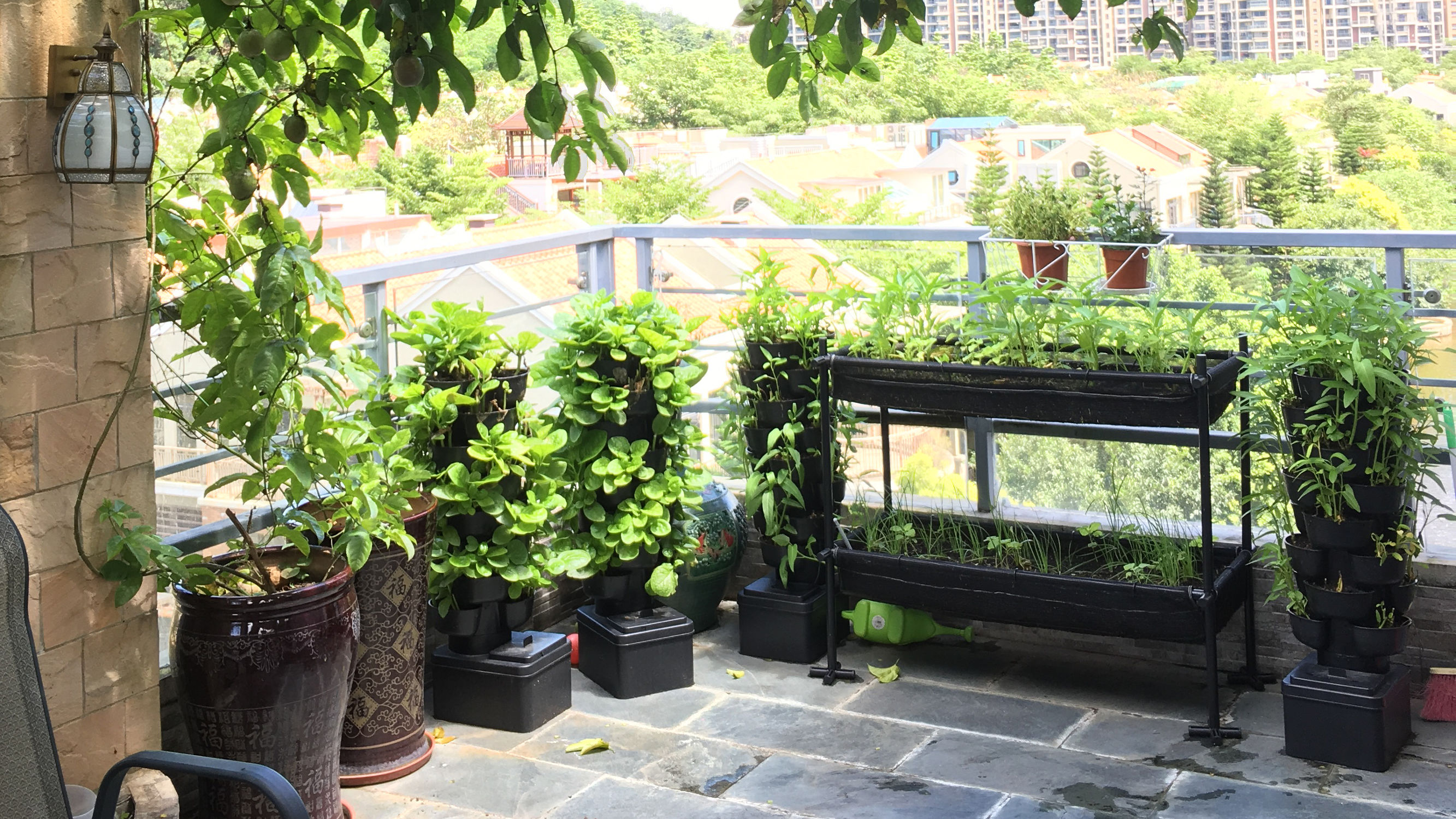 揭秘有机蔬菜种植技术论文,有机蔬菜种植技术加盟