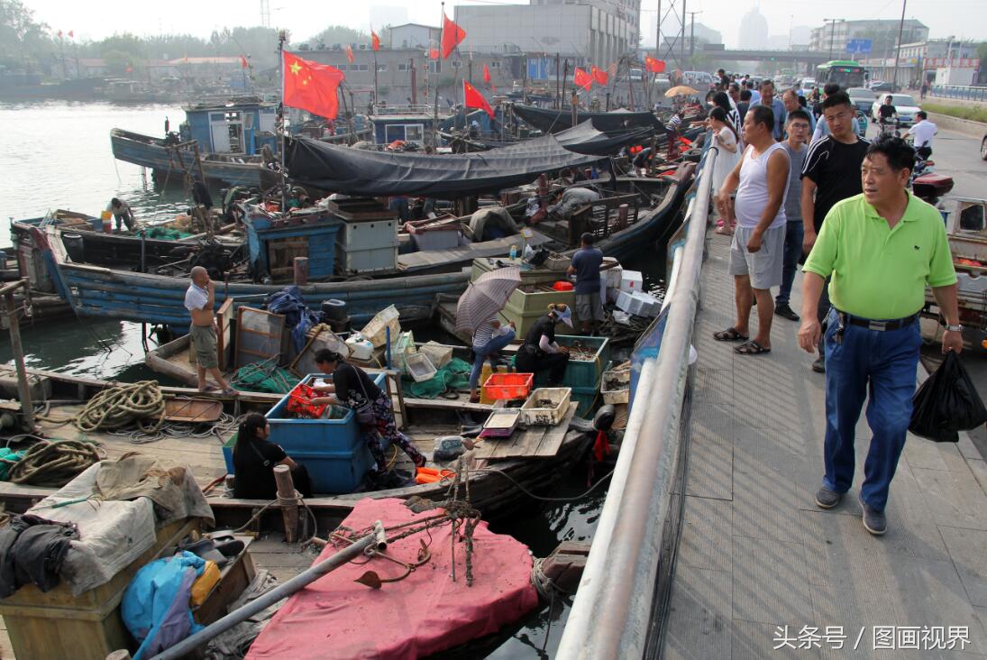 黄渤海有什么海鲜,黄渤海海鲜