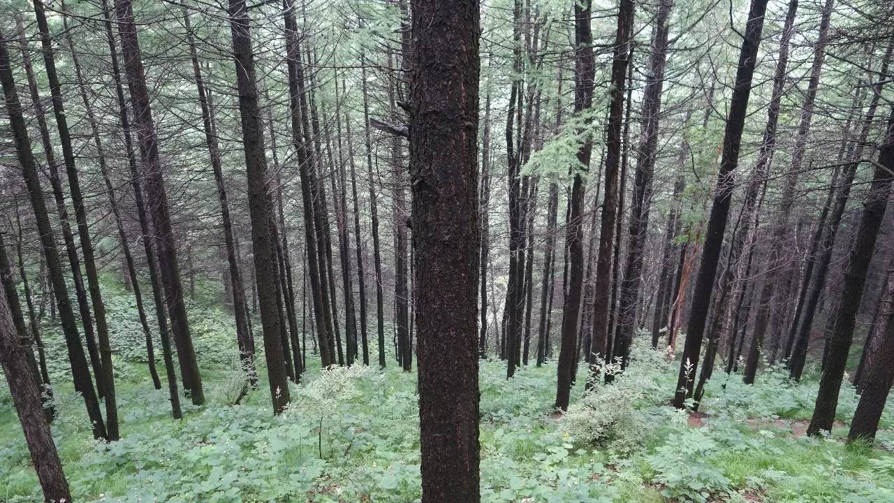 驼梁在石家庄什么地方,石家庄驼梁在石家庄的什么位置