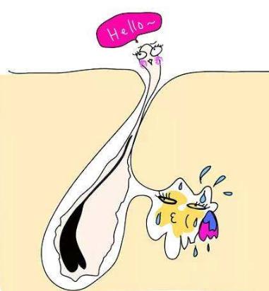 毛发移植靠谱不,毛发种植的价格贵不