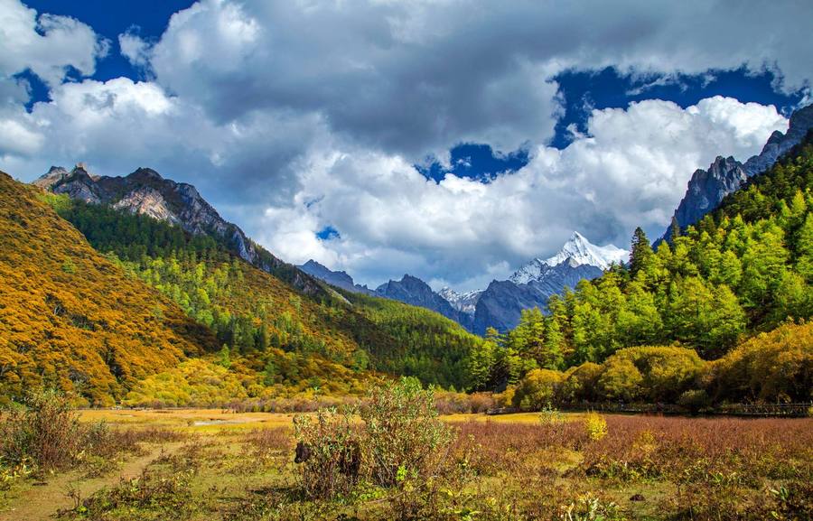 花都港龙,稻城三神山风景在哪里