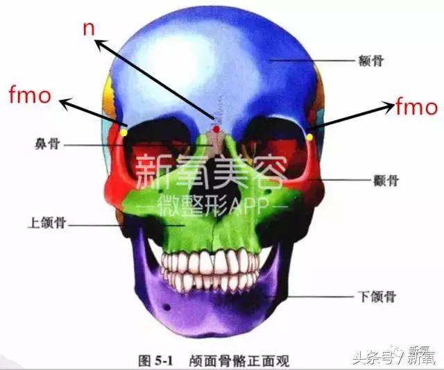杨紫微整前后容颜对比,杨紫瘦了吗