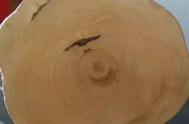 红木家具深度解读,一文看懂实木家具各种木料