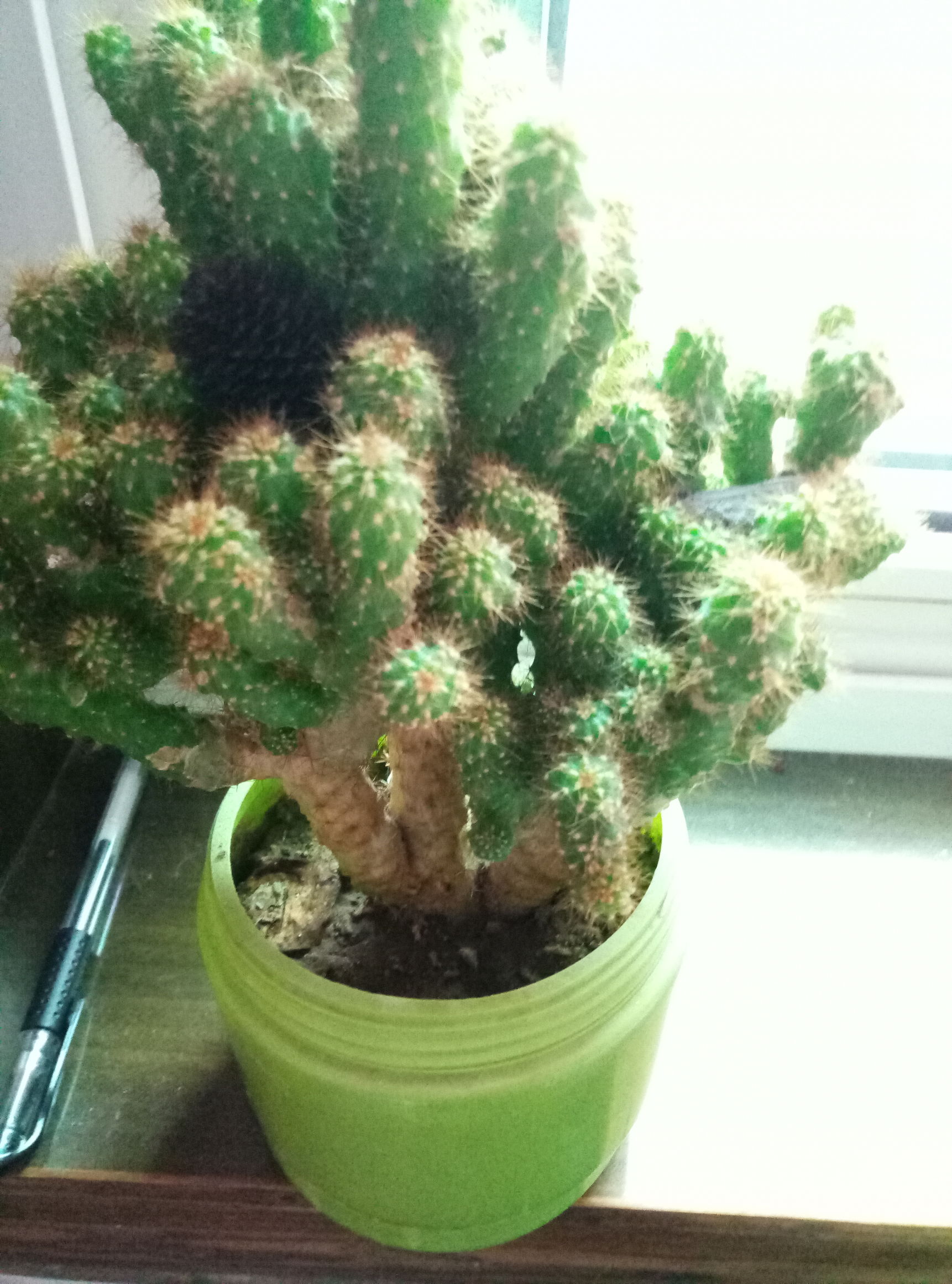 花器制作篇,用什么来制作花器