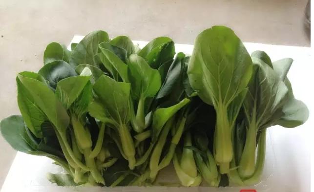 淡水龟吃什么食物,龟吃什么食物好