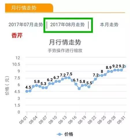 八月菜价大盘点,6成品种上涨带来黄金行情,附广州江南0901菜价