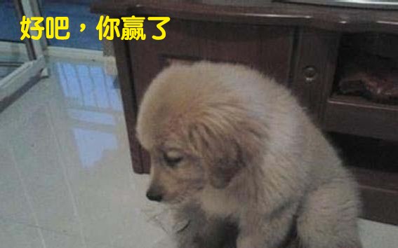 苹果原厂数据线和mfi数据线哪个好,苹果数据线坏了有必要买原装的吗