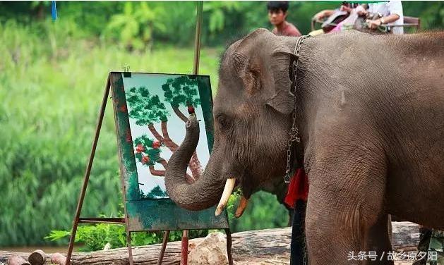 回味在成都,回味一首邓丽君的歌曲