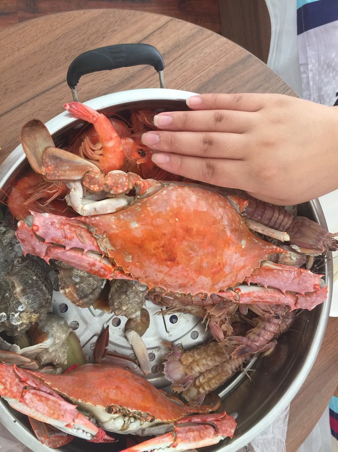 营口鲅鱼和青岛鲅鱼有区别吗,辽宁鲅鱼圈小鲅鱼