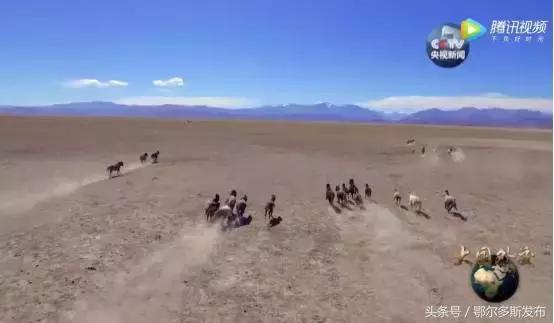 大国外交百年风雨兼程,大国外交之美美与共观后感