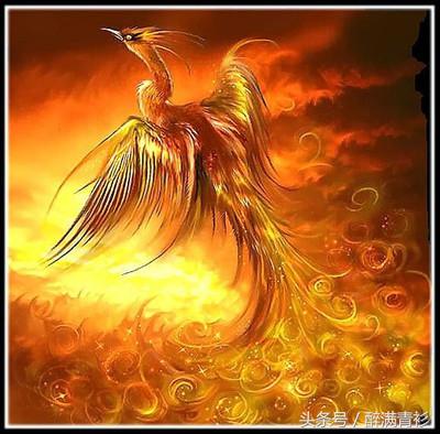 古代神兽大全排名,四象对应方位和神兽