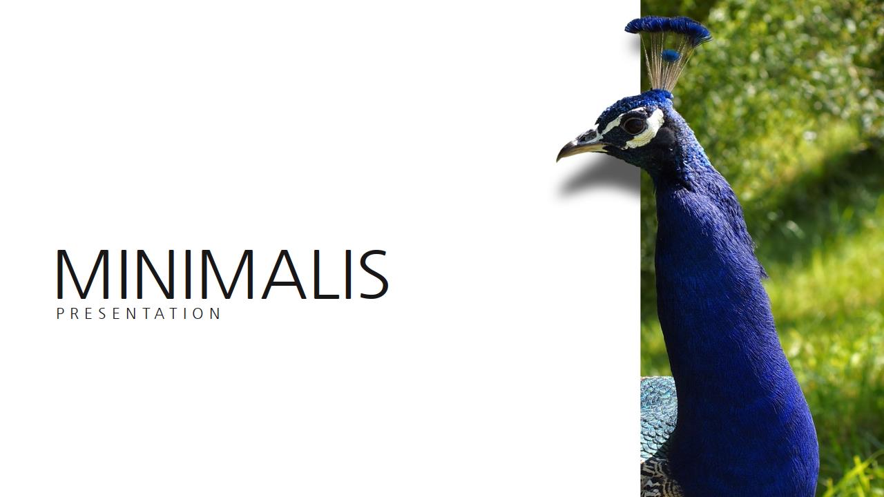 产品宣传ppt制作模板,公司介绍产品宣传ppt10张