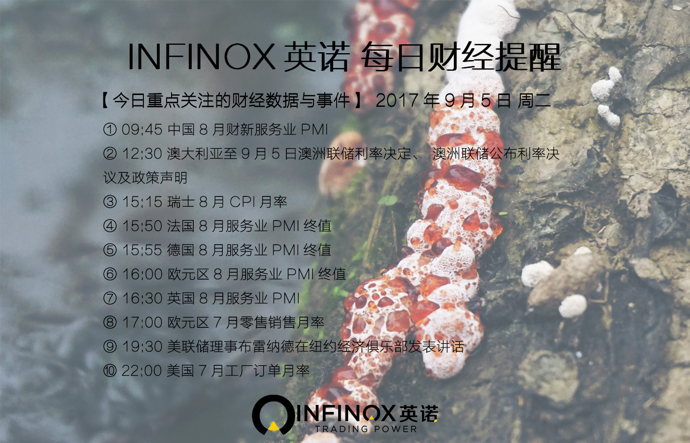 infinox外汇平台,infinox英诺官网电话