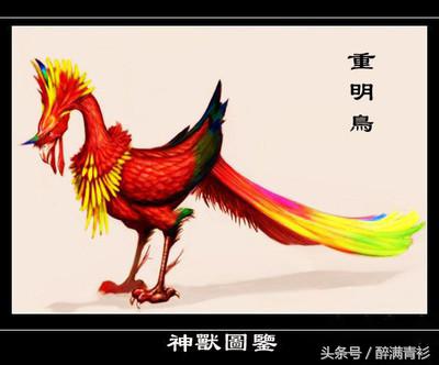 古代神兽大全排名,四象对应方位和神兽