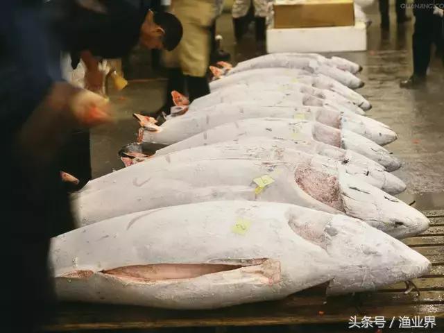 世界十大海鲜市场排名,世界最大的海鲜市场日本