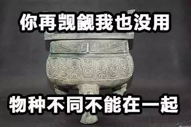 少年醒醒!这些你常说的词,原本并不是这个意思啊!