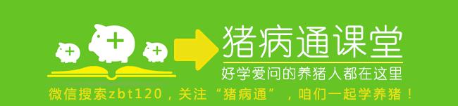 母猪产程长的处理方法,母猪肥了生产有什么危害