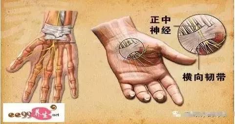 睡觉醒来手麻是什么原因和征兆,手麻的原因分析及简单评估