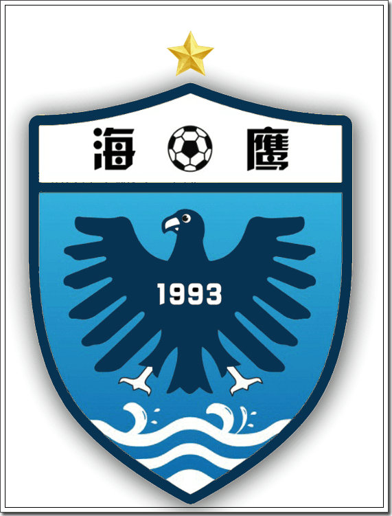 绿茵上追梦,绿茵场上的追梦人