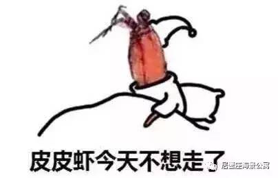 攻略|老渔民亲传“扒虾秘籍”,皮皮虾我们走!