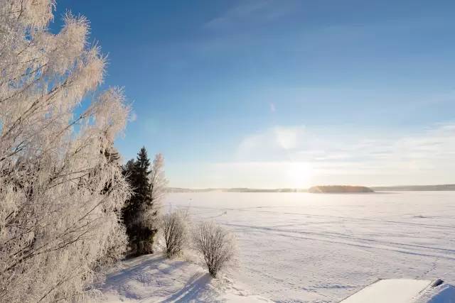 真力音箱g系列 (真力音箱深灰色)