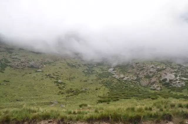 老爷子陪老伴穷游,带着老伴穷游