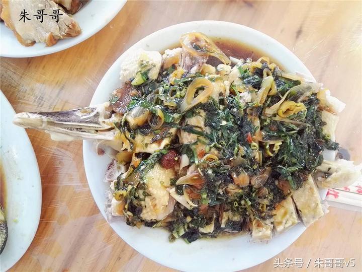 横县校椅镇马毕村茉莉庄园,广西横县茉莉庄园