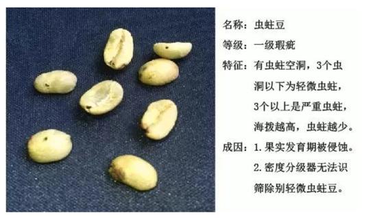 喝了咖啡恶心呕吐是什么原因,喝咖啡后恶心呕吐是怎么回事