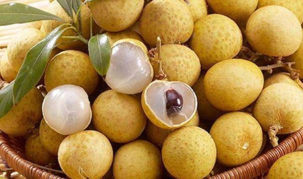 十大养肾粥,冬季10款滋补养生粥补肾益肝