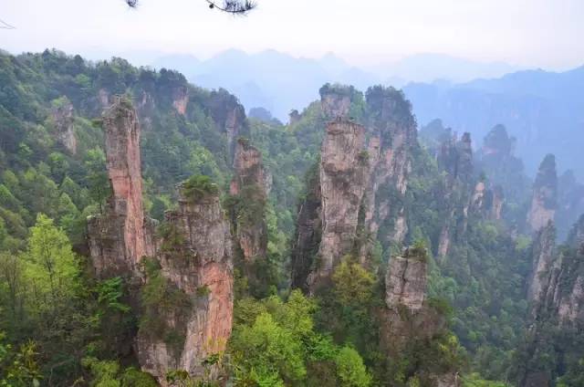 老爷子陪老伴穷游,带着老伴穷游