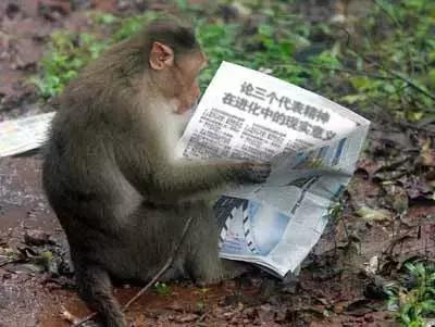 贵州方言笑死人的句子,贵州方言笑死人了