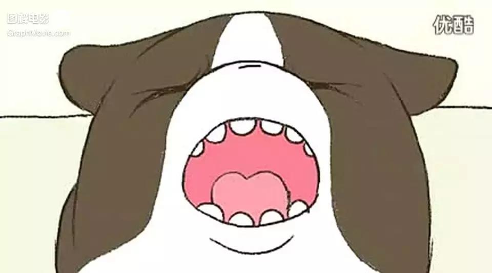 1分钟看完煎蛋饼养只狗狗来做饭狗版の田螺姑娘