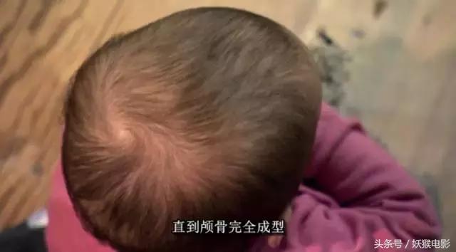 最震撼的纪录片bbc人体的奥秘,人体科普纪录片top10